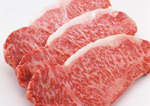 思い切り盛り上がれるホストクラブ