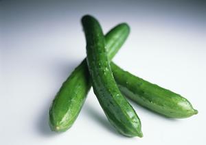 日本最大のホストクラブグループ