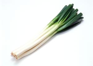 ホストクラブの選び方と料金の注意